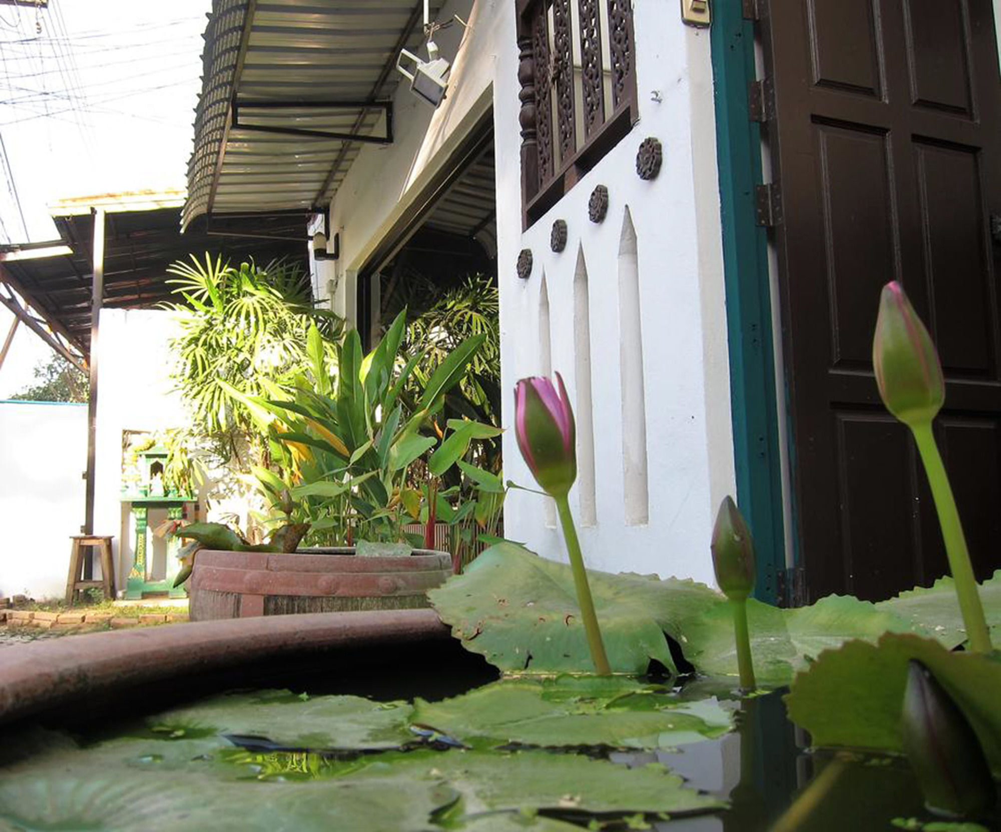 V Lodge Chiang Mai Exterior photo